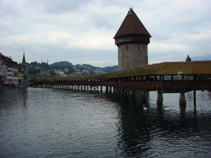 DSC02445