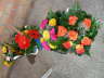 DSCN5640